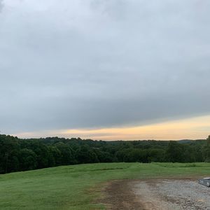 Meet your Posher, Joey